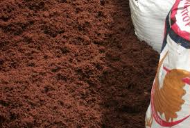 Coir Dust