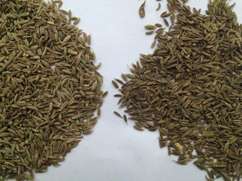 Cumin seeds, Packaging Type : green, Grade Standard : first