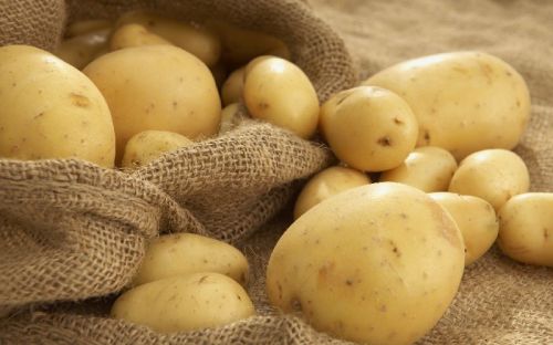 Fresh potato, Usage/Application : Cooking, Baking, Frying, Boiling