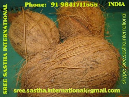 Semi Husked Coconuts