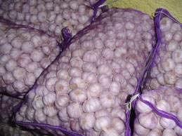 Fresh garlic, Feature : Moisture Proof, Gluten Free