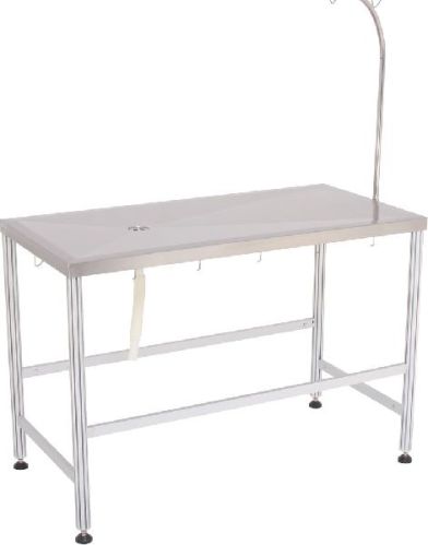Examination Table, Large