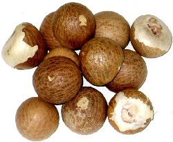 Betel Nuts