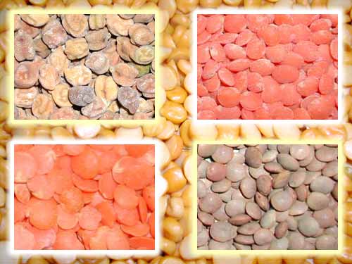 Pulses