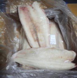 Sole Fish Fillets