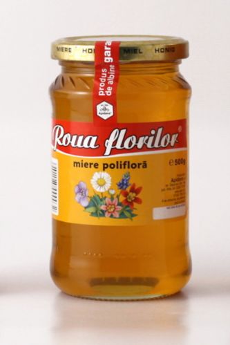 Multi-flower Honey