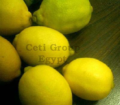 Lemon Application : Used for Making Pickles, Juice