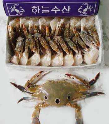 Three Spotted Crab