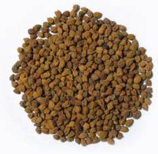 Pulses Cold Storage Services