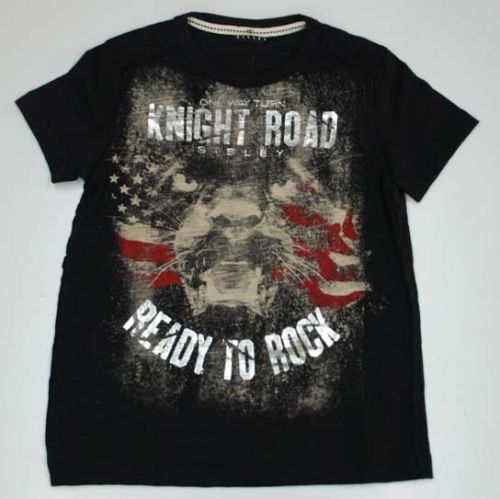 Printed Boys Round Neck T-Shirt, Feature : Anti-shrink, Comfortable, Easily Washable, Eco-friendly