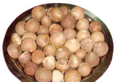 Betel Nuts