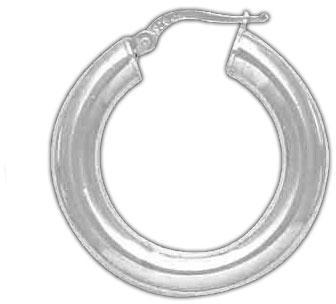 Plated Hoop Earrings DTSE000032