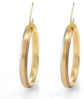 Plated Hoop Earrings DTSE001998