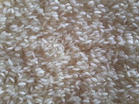 Sona Massoori Rice, Color : CREAMY