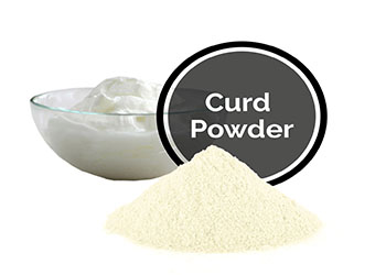 Curd Powder