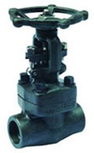 Forged Steel Gate Valve