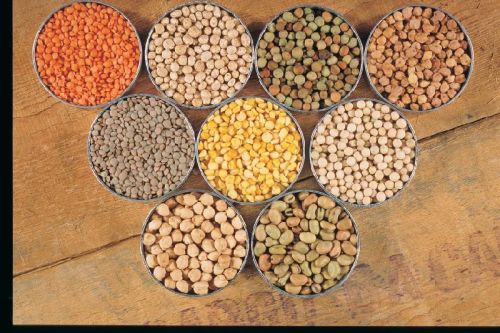 Australian Pulses