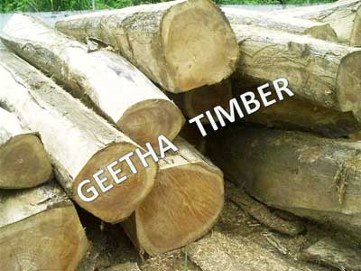 Geetha Timber Teak Logs