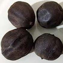 Clarion Casein Dry Lemon, Packaging Type : Bulk