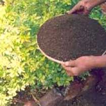 Maruti Nursery Vermicompost Fertilizer