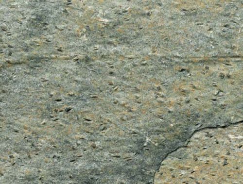 Gold Green Quartzite Stone