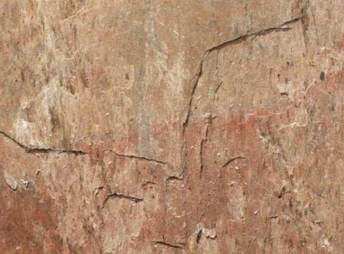 Natural Golden Quartzite Stone