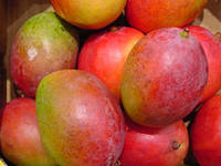 African Mango Extract
