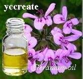 Geranium Oil