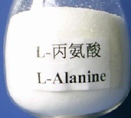 L Alanine