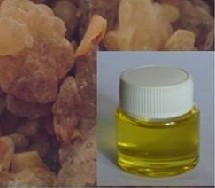 Olibanum Oil