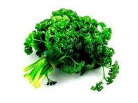 Parsley Seed Oil