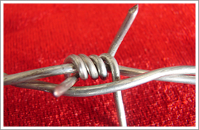Barbed Wire, Wire Gauge : 1-5mm