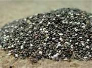 Chia seed
