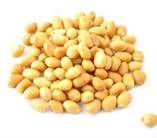 Peanut, Shelf Life : 12 Months