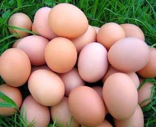 Fresh Brown Chicken Eggs