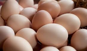 Quality White Fresh Chicken Eggs
