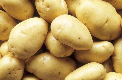 Potato