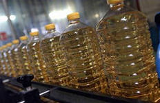 Sesame oil, Shelf Life : 2yrs