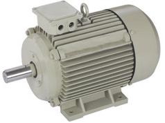 Single Phase Electric Motors