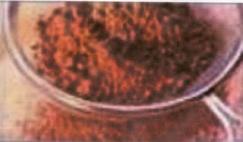 Cocoa powder, Packaging Type : Brown, Packaging Size : 20-30kg