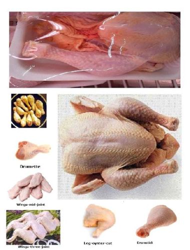 Frozen chicken for halal food