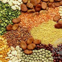 Food Grains