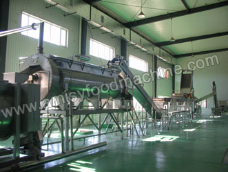 Frozen French Fries Production Line