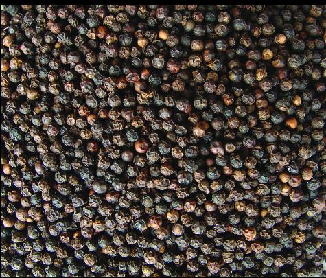 Black pepper powder, Purity : 99.99%