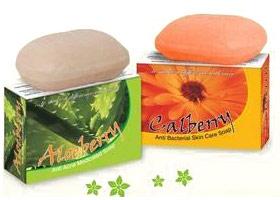 Antibacterial Bath Soap