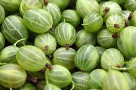 Fresh Gooseberry