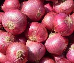 Fresh red onion For Food