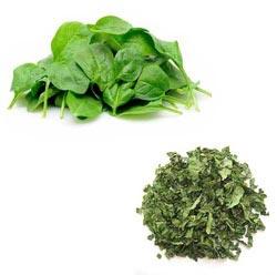 Dehydrated Spinach, Shelf Life : 3-5 Days