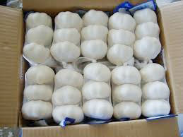 Fresh garlic, Storage : Cool, Dry Place