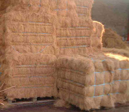 Coconut Coir Fibre